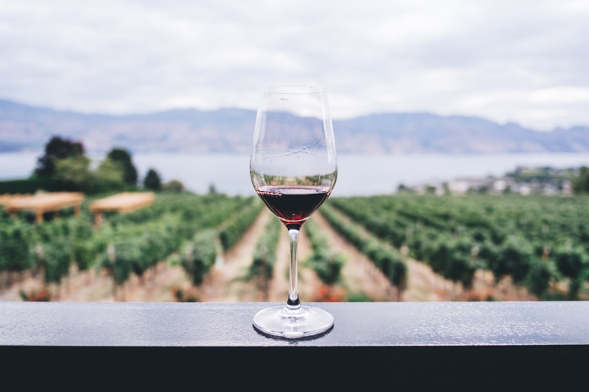 Enoturismo Albariño